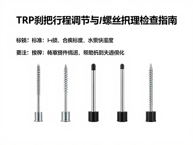TRP刹把行程调节与螺丝扭矩检查指南,安全改装必看
