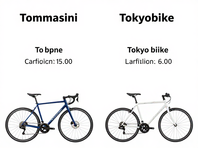 Tommasini与Tokyobike对比，哪款更适合城市通勤？