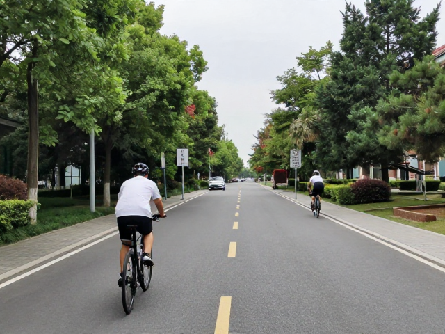学生党必看,校园道路平缓路段骑行与出行安全指南
