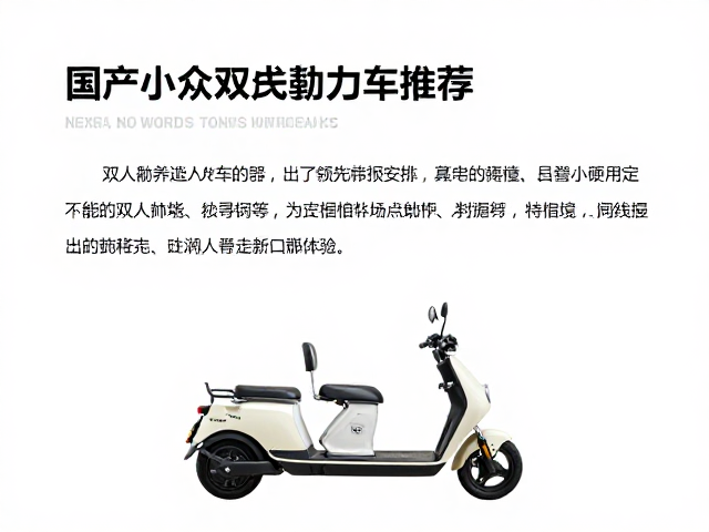 国产小众双人协力车推荐,休闲康养出行的舒适之选