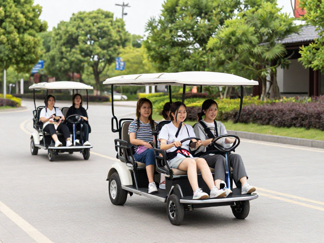 景区观光代步同步踩踏亲子双人车，轻松游览不费力