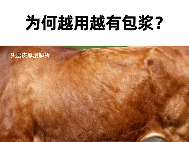 头层牛皮厚度解析，为何越用越有包浆？