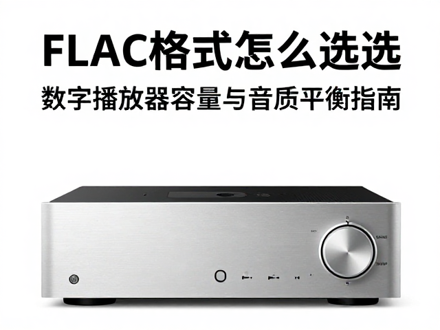 FLAC格式怎么选?数字播放器容量与音质平衡指南