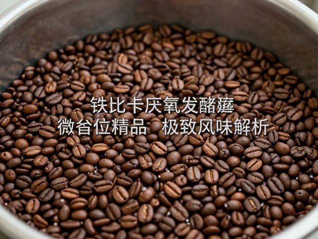 发酵过程中的生化转化机制