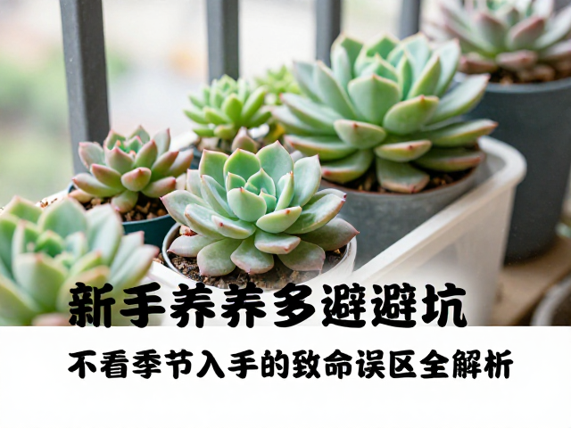盲目追求“状态”与品种适应性误区