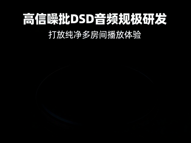 高信噪比DSD音频规格研发,打造纯净多房间播放体验