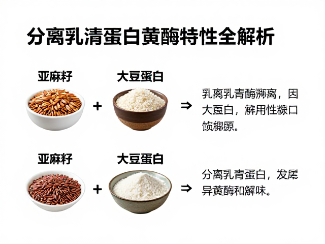 分离乳清蛋白溯源，亚麻籽与大豆蛋白异黄酮特性全解析