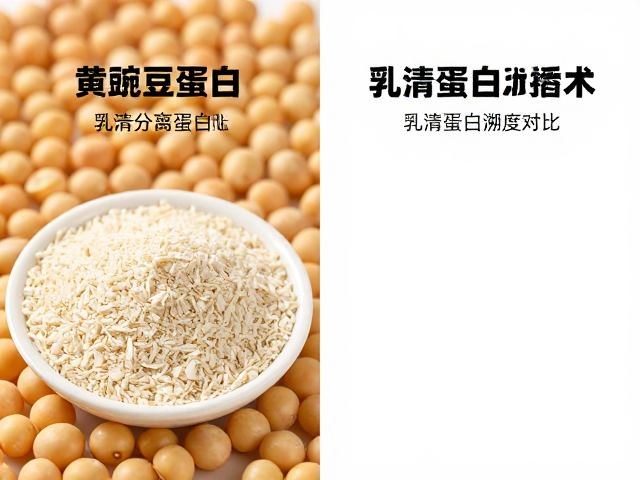 WPI乳清分离蛋白溯源,黄豌豆蛋白与乳清蛋白特性深度对比