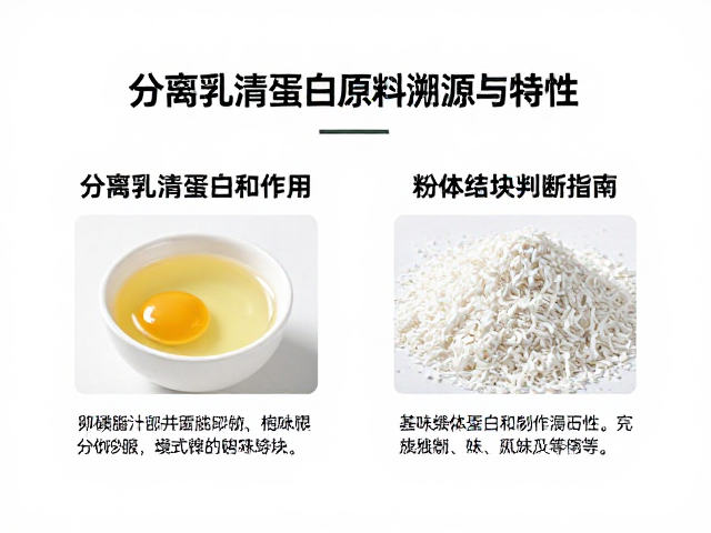 分离乳清蛋白原料溯源与特性，卵磷脂作用及粉体结块判断指南