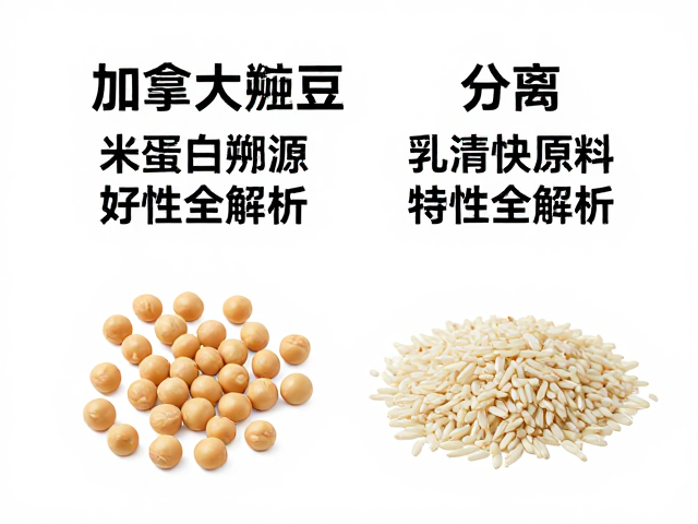 加拿大豌豆与米蛋白溯源，分离乳清原料特性全解析