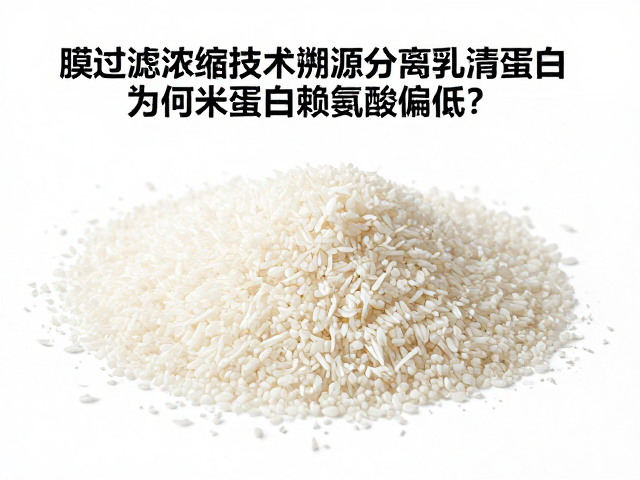 膜过滤浓缩技术溯源分离乳清蛋白，为何米蛋白赖氨酸偏低？
