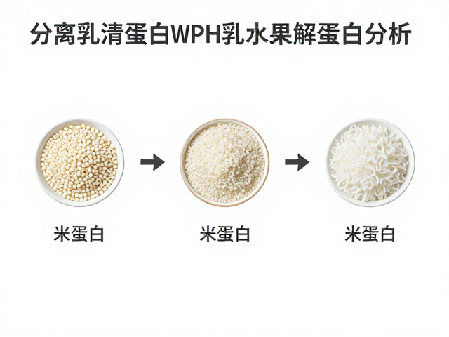 分离乳清蛋白溯源与特性，米蛋白与WPH乳清水解蛋白对比解析