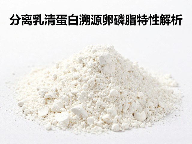 分离乳清蛋白溯源，低碳水与卵磷脂特性解析