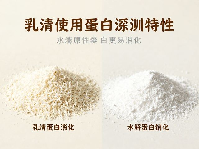乳清分离蛋白溯源,水解蛋白更易消化,揭秘原料特性