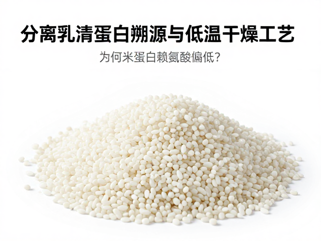 分离乳清蛋白溯源与低温干燥工艺,为何米蛋白赖氨酸偏低?
