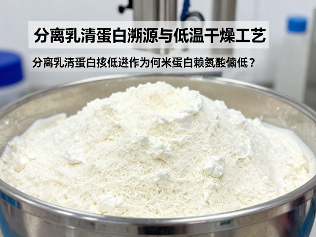 分离乳清蛋白溯源与低温干燥工艺,为何米蛋白赖氨酸偏低?