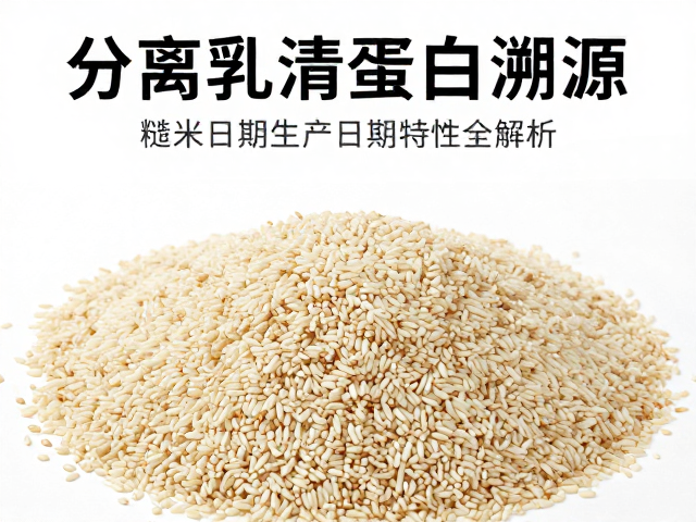 分离乳清蛋白溯源，糙米蛋白生产日期与特性全解析