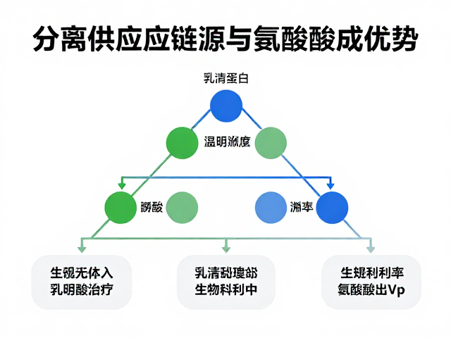 分离乳清蛋白溯源,看品牌供应链透明度与氨基酸组成优势