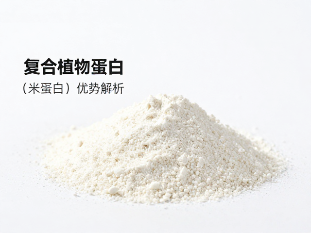 分离乳清蛋白溯源与特性，复合植物蛋白（米蛋白）优势解析