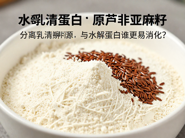 分离乳清蛋白溯源,亚麻籽与水解蛋白谁更易消化?