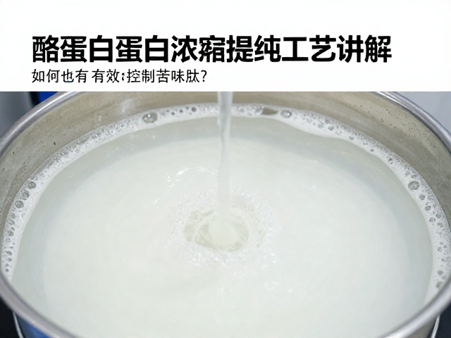 酪蛋白蛋白浓缩提纯工艺讲解，如何有效控制苦味肽？