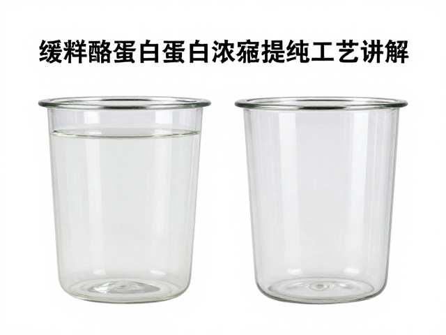 缓释酪蛋白蛋白浓缩提纯工艺讲解,如何精准控制蛋白变性