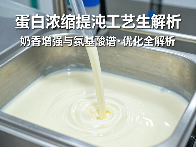 蛋白浓缩提纯工艺，奶香增强与氨基酸谱优化全解析