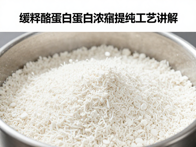 缓释酪蛋白蛋白浓缩提纯工艺讲解，如何精准控制蛋白变性