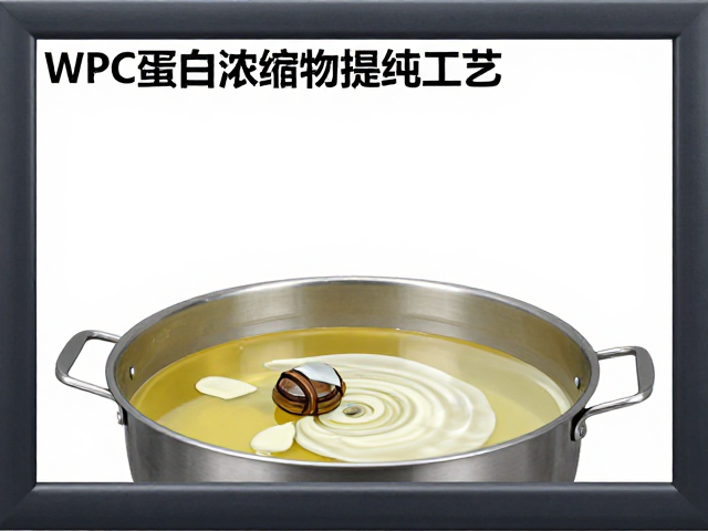 WPC蛋白浓缩物提纯工艺,如何精准控制脂肪含量?