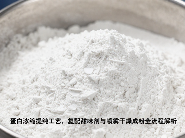 蛋白浓缩提纯工艺,复配甜味剂与喷雾干燥成粉全流程解析