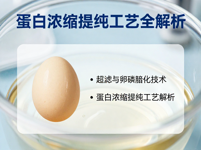超滤与卵磷脂化技术详解,蛋白浓缩提纯工艺全解析