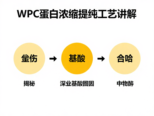 WPC蛋白浓缩提纯工艺讲解,揭秘核心氨基酸组成与功效
