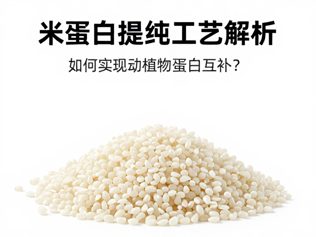 米蛋白提纯工艺解析,如何实现动植物蛋白互补?
