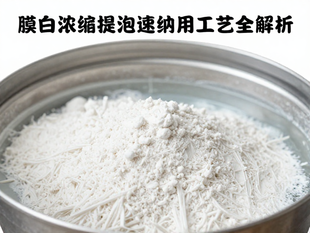 膜过滤设备在蛋白浓缩提纯中的应用，速溶粉体工艺全解析