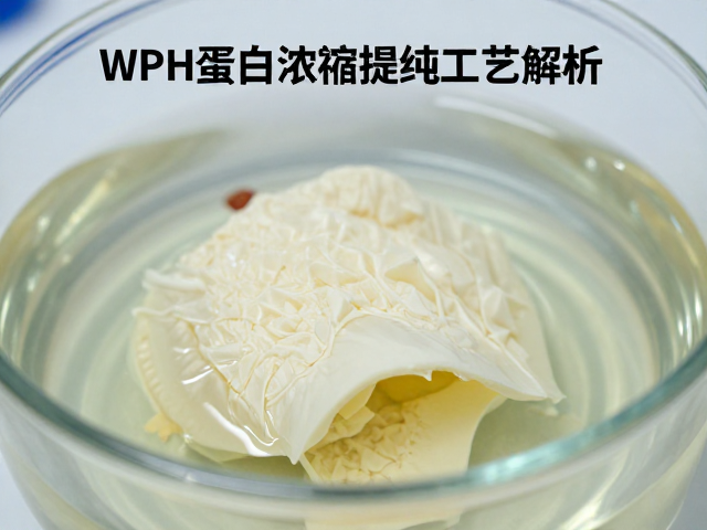 WPH蛋白浓缩提纯工艺解析,如何精准控制脂肪含量?