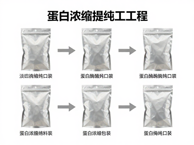 蛋白浓缩提纯工艺，蛋白酶酶解与铝膜袋包装全流程解析