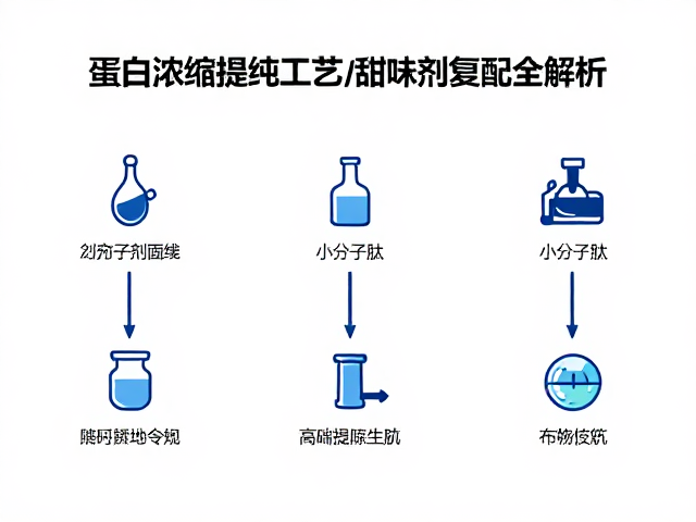 蛋白浓缩提纯工艺，小分子肽生成与甜味剂复配全解析