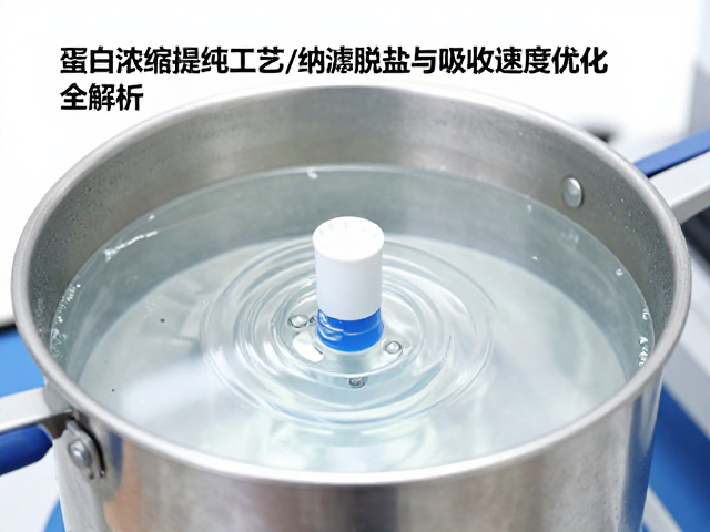 蛋白浓缩提纯工艺,纳滤脱盐与吸收速度优化全解析