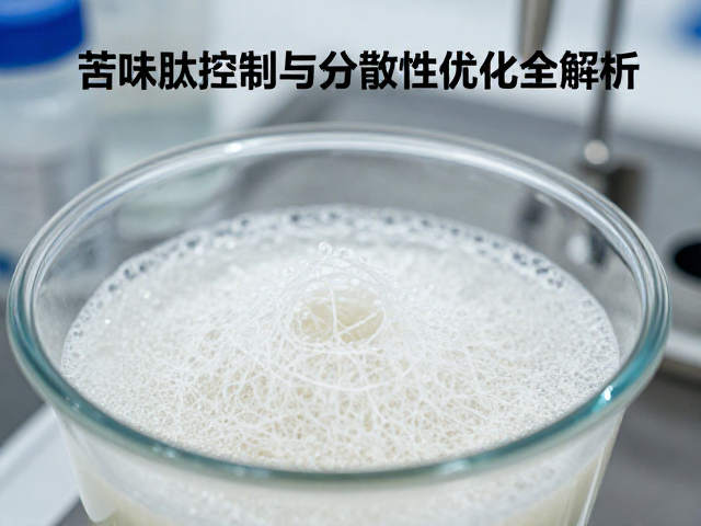 蛋白浓缩提纯工艺，苦味肽控制与分散性优化全解析