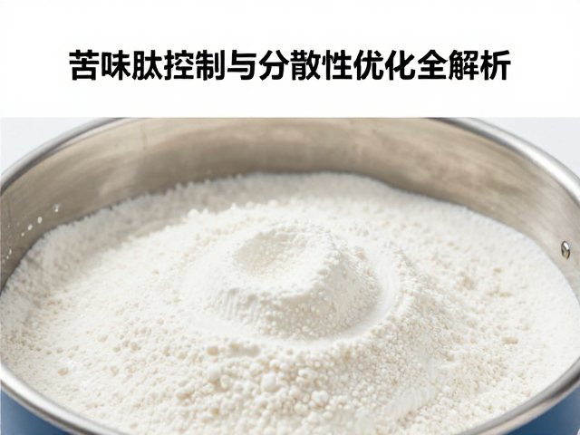 蛋白浓缩提纯工艺，苦味肽控制与分散性优化全解析