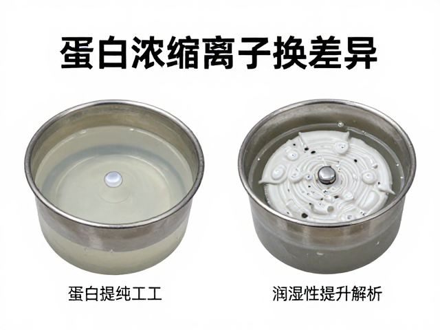 蛋白浓缩提纯工艺，膜过滤与离子交换差异，润湿性提升解析