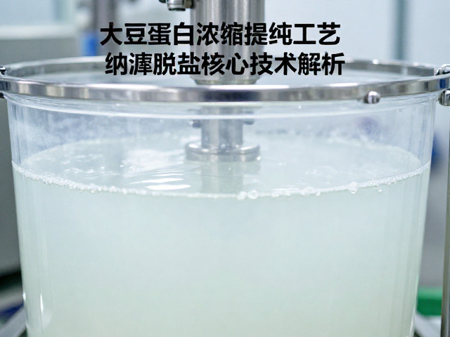 大豆蛋白浓缩提纯工艺,纳滤脱盐核心技术解析
