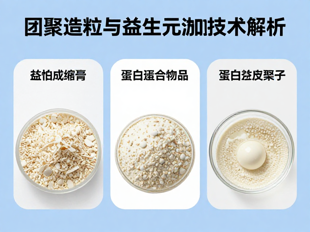 蛋白浓缩提纯工艺讲解,团聚造粒与益生元添加技术解析