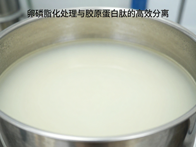 蛋白浓缩提纯工艺讲解，卵磷脂化处理与胶原蛋白肽的高效分离技术