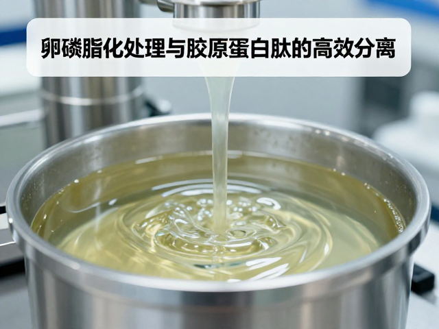 蛋白浓缩提纯工艺讲解，卵磷脂化处理与胶原蛋白肽的高效分离技术