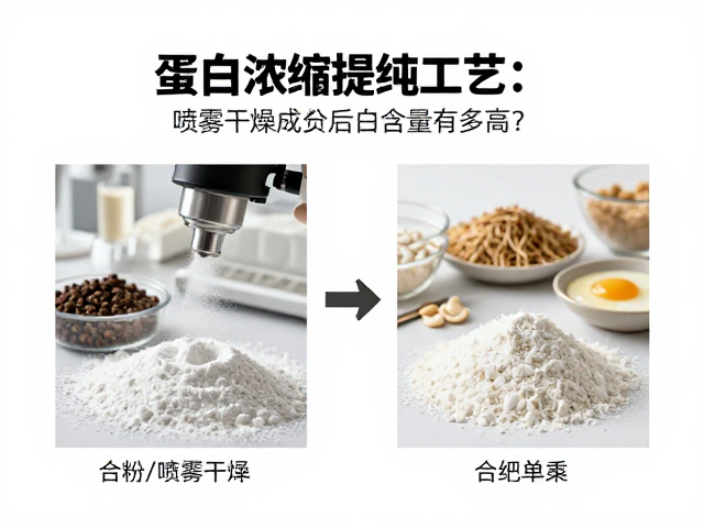 蛋白浓缩提纯工艺,喷雾干燥成粉后蛋白质含量有多高?