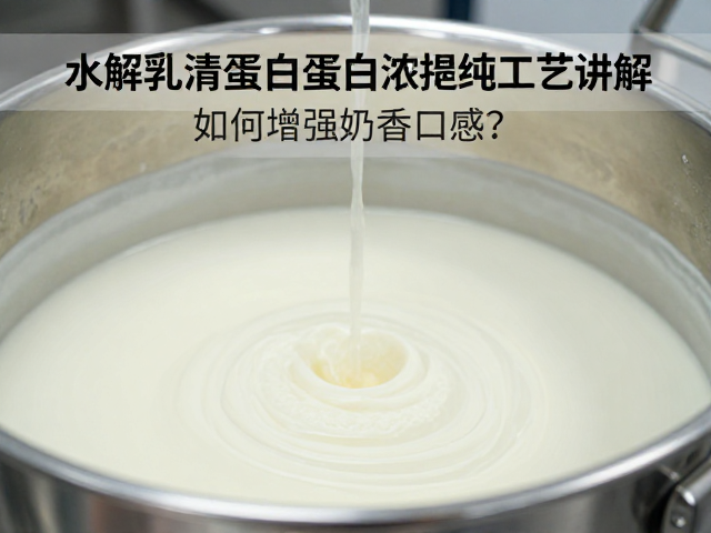 水解乳清蛋白蛋白浓缩提纯工艺讲解，如何增强奶香口感？