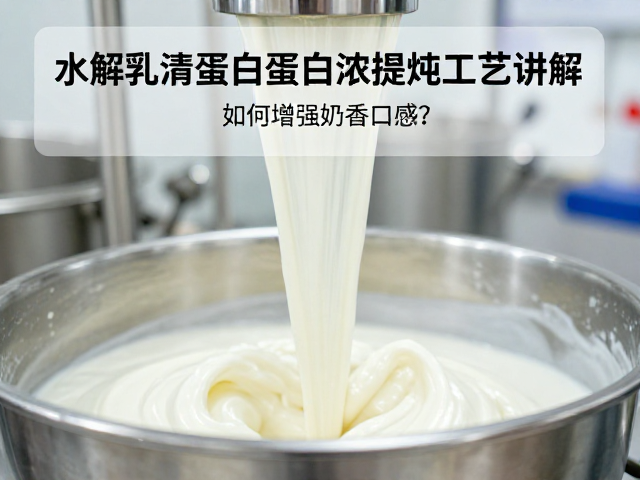 水解乳清蛋白蛋白浓缩提纯工艺讲解，如何增强奶香口感？