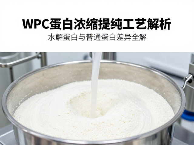 WPC蛋白浓缩提纯工艺解析，水解蛋白与普通蛋白差异全解