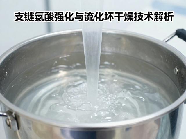蛋白浓缩提纯工艺讲解，支链氨基酸强化与流化床干燥技术解析
